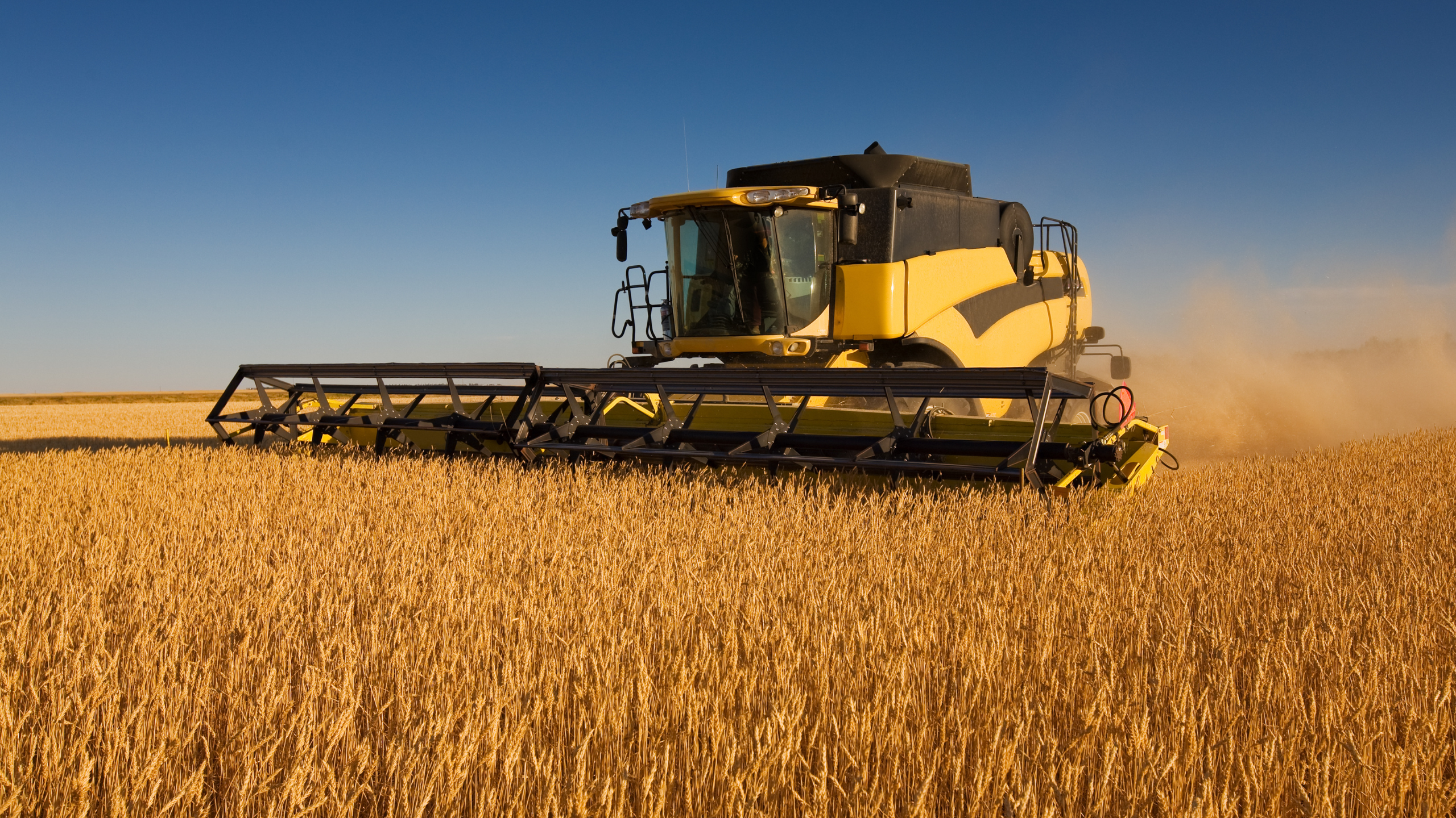 Vehicle Electrical Routing Warranty Assessment and Improvement Project